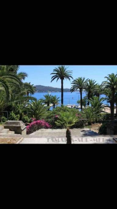 Appartamento Le Dyonisos Et Piscine La Seyne-sur-Mer Esterno foto